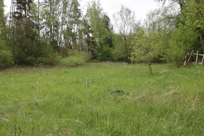 Prodej komerční nemovitosti, Šlapanov, 500 m2