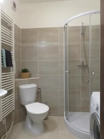 Pronájem bytu 1+kk, Brno, Koliště, 30 m2