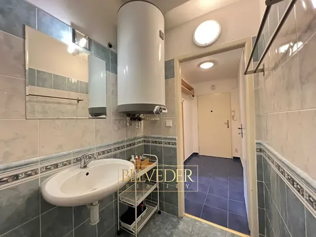 Pronájem bytu 1+kk, Praha - Nusle, Bohuslava ze Švamberka, 25 m2