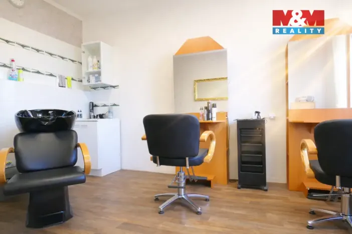 Pronájem obchodního prostoru, Ostrava - Mariánské Hory, 28. října, 25 m2