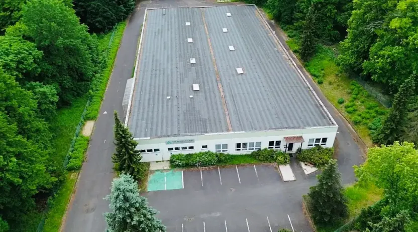 Pronájem výrobních prostor, Chodová Planá, Kyjovská, 2497 m2