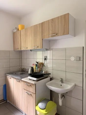 Prodej obchodního prostoru, Děčín, Krásnostudenecká, 420 m2