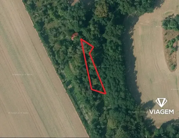 Prodej zahrady, Kojice, 500 m2