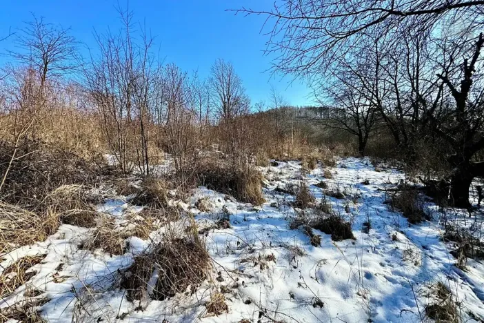 Prodej pozemku pro bydlení, Letovice, 1845 m2