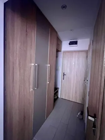 Pronájem bytu 1+kk, Karviná, tř. 17. listopadu, 32 m2