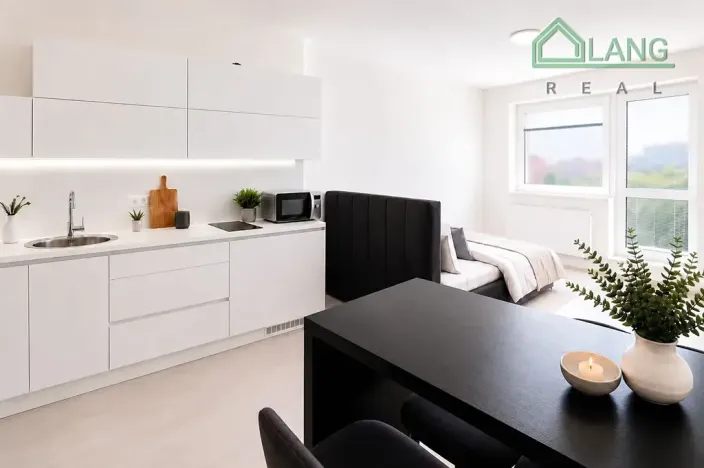 Pronájem bytu 1+kk, Brno, Rybářská, 31 m2
