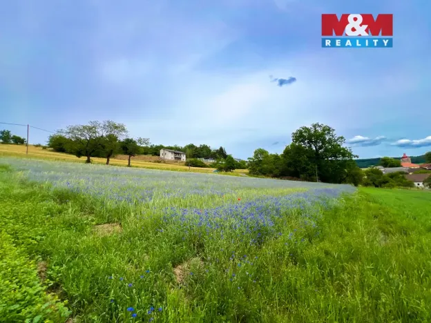 Prodej pozemku pro bydlení, Poleň, 1261 m2