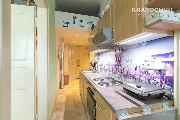 Pronájem bytu 2+kk, Praha - Žižkov, Rečkova, 48 m2