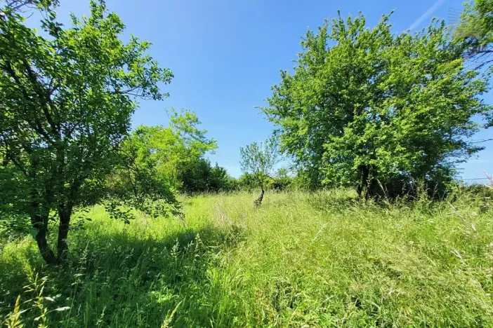 Prodej rodinného domu, Kožušice, 105 m2