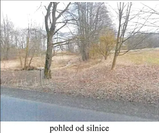 Prodej lesa, Tis, 1692 m2