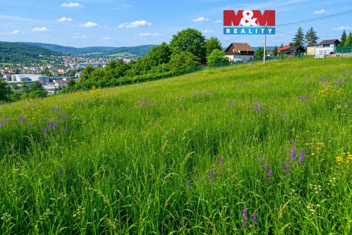 Prodej pozemku pro bydlení, Ústí nad Labem - Hostovice, 5240 m2