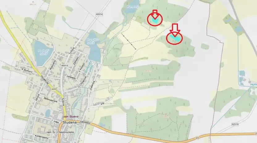 Prodej lesa, Studená, 4659 m2