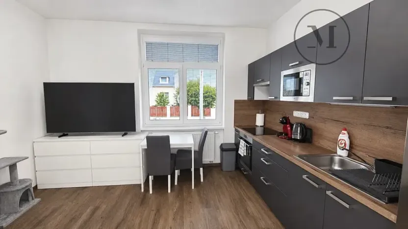 Pronájem bytu 1+kk, České Budějovice, Reinerova, 29 m2