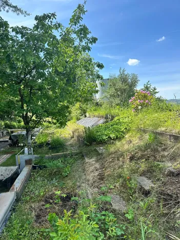 Prodej zahrady, Děčín, 260 m2