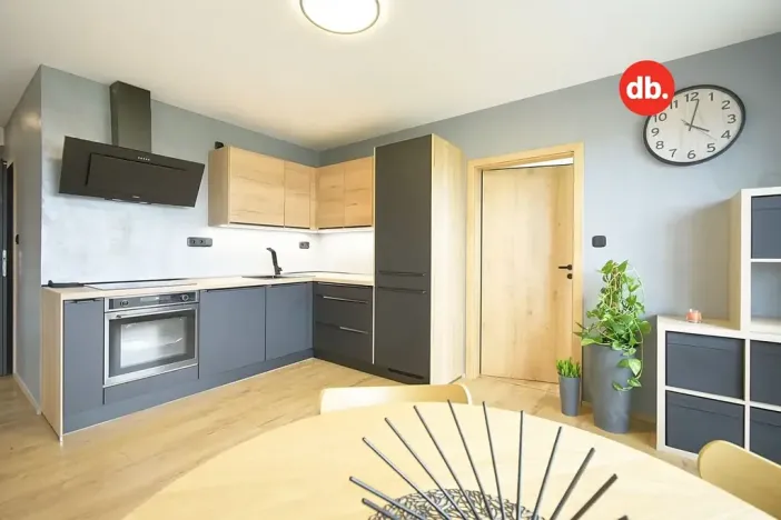 Pronájem bytu 2+1, Nejdek, Lipová, 66 m2