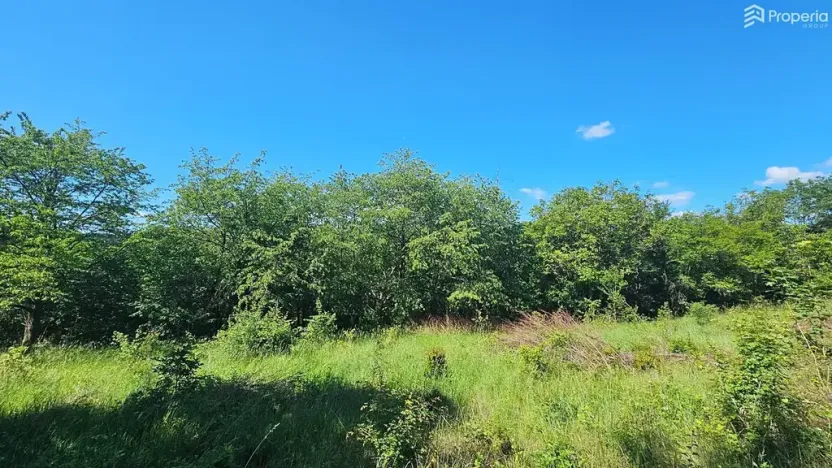 Prodej pozemku pro bydlení, Letovice, 1845 m2