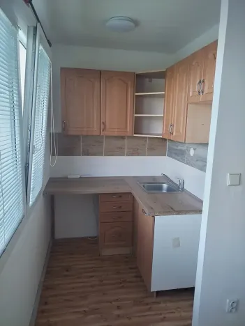 Pronájem bytu 1+kk, Pardubice, Kosmonautů, 38 m2