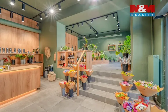 Pronájem restaurace, Plzeň - Jižní Předměstí, Americká, 145 m2