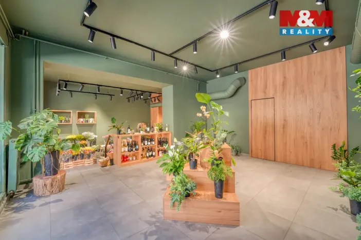 Pronájem restaurace, Plzeň - Jižní Předměstí, Americká, 145 m2