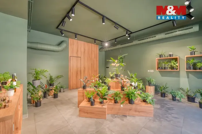 Pronájem restaurace, Plzeň - Jižní Předměstí, Americká, 145 m2