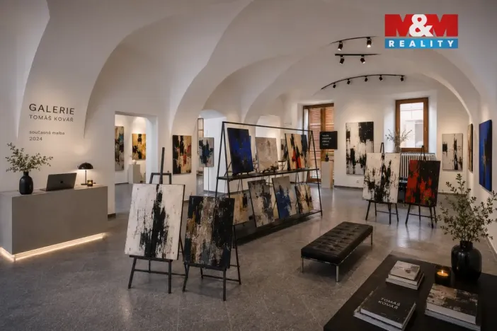 Pronájem obchodního prostoru, České Budějovice - České Budějovice 1, Hradební, 142 m2