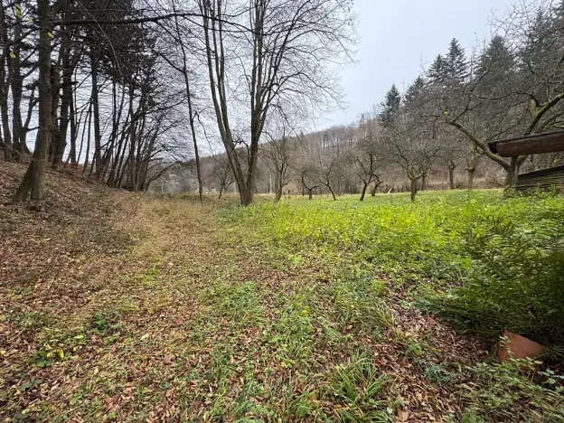 Prodej chalupy, Rajnochovice, 115 m2
