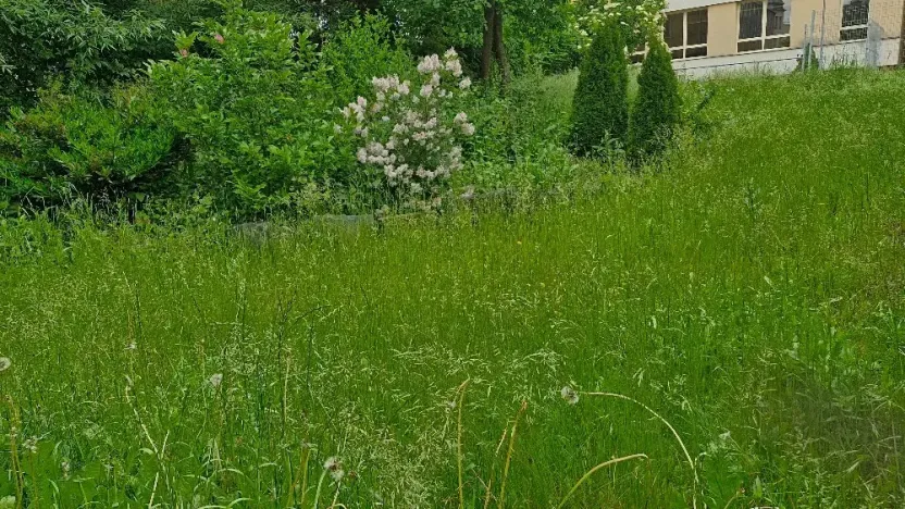 Pronájem bytu 2+1, Bruntál, Nerudova, 50 m2