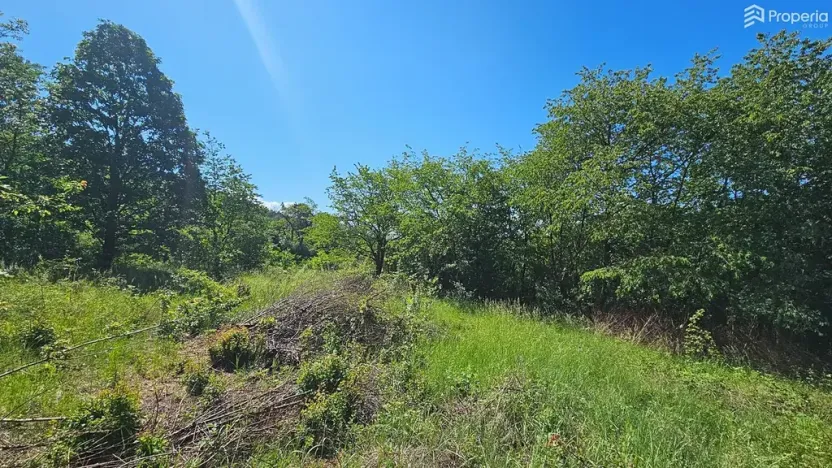 Prodej pozemku pro bydlení, Letovice, 1845 m2
