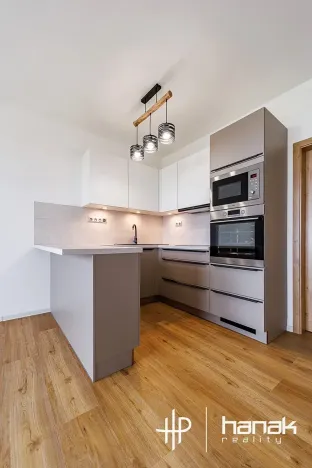 Pronájem bytu 1+kk, Olomouc, Aloise Rašína, 35 m2