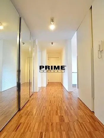 Pronájem bytu 3+kk, Praha - Žižkov, Prokopova, 154 m2