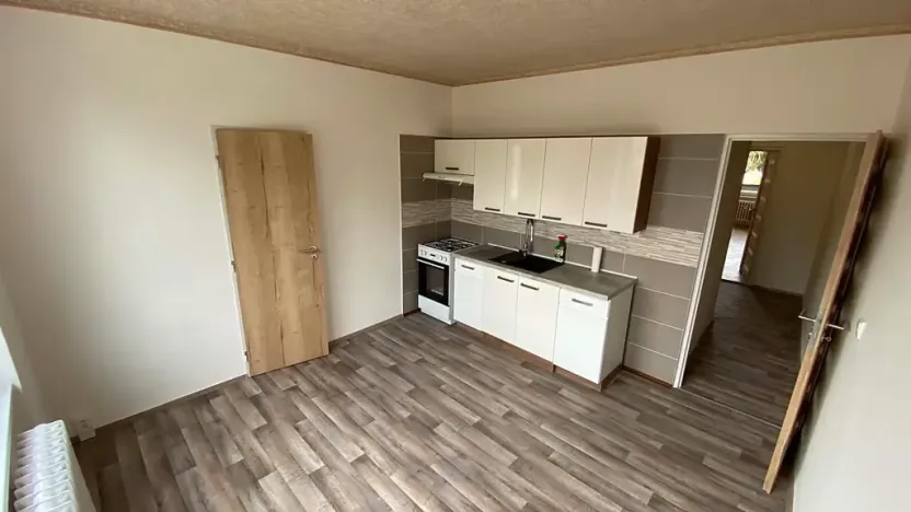 Pronájem bytu 1+1, Brno, Palackého třída, 50 m2