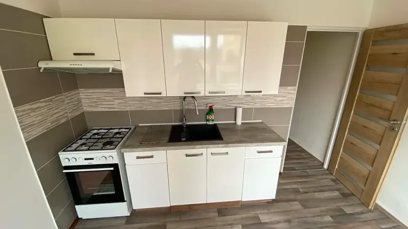 Pronájem bytu 1+1, Brno, Palackého třída, 50 m2