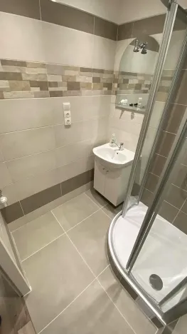 Pronájem bytu 1+1, Brno, Palackého třída, 50 m2