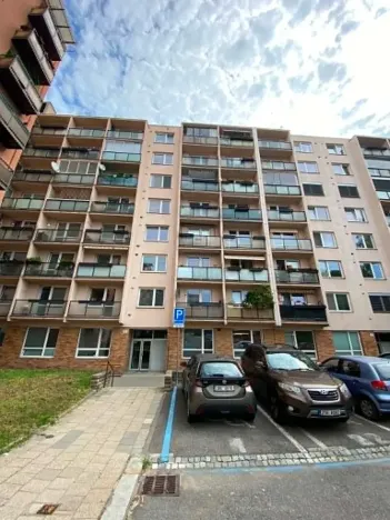 Pronájem bytu 1+1, Brno, Palackého třída, 50 m2