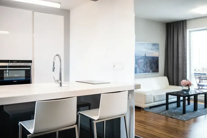 Pronájem bytu 2+kk, Brno, Palackého třída, 56 m2
