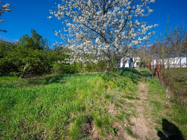 Prodej zahrady, Brno, 725 m2