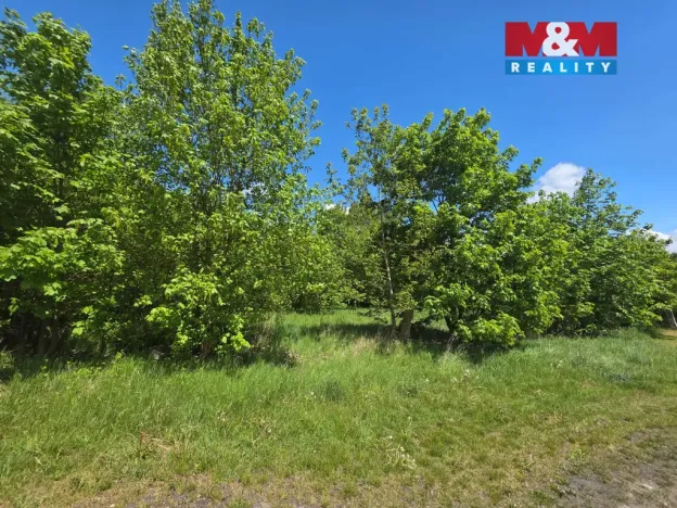 Prodej pozemku pro bydlení, Bor - Boječnice, 2517 m2