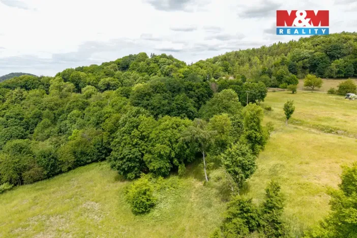 Prodej louky, Nosálov - Libovice, 13358 m2