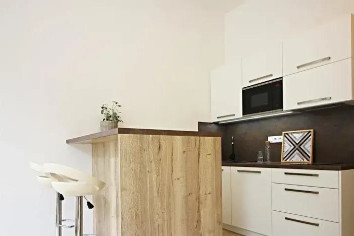 Pronájem bytu 1+kk, Brno, Koliště, 32 m2