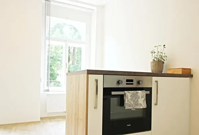 Pronájem bytu 1+kk, Brno, Koliště, 32 m2