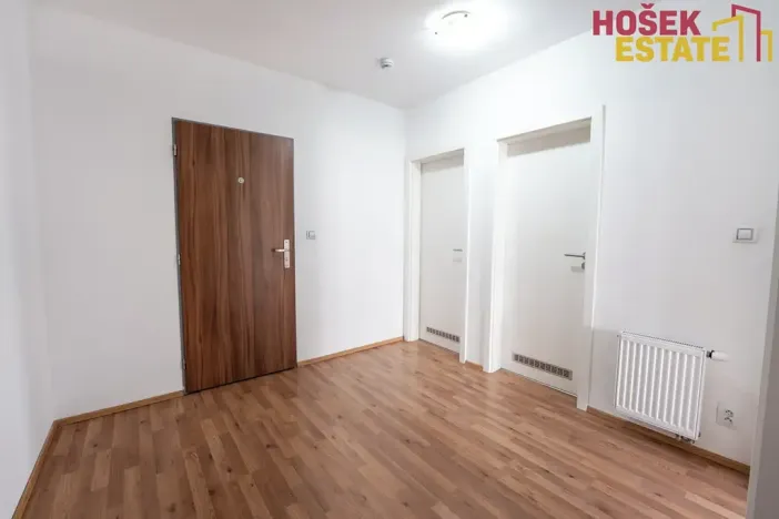 Prodej bytu 2+kk, Brno, Kigginsova, 60 m2