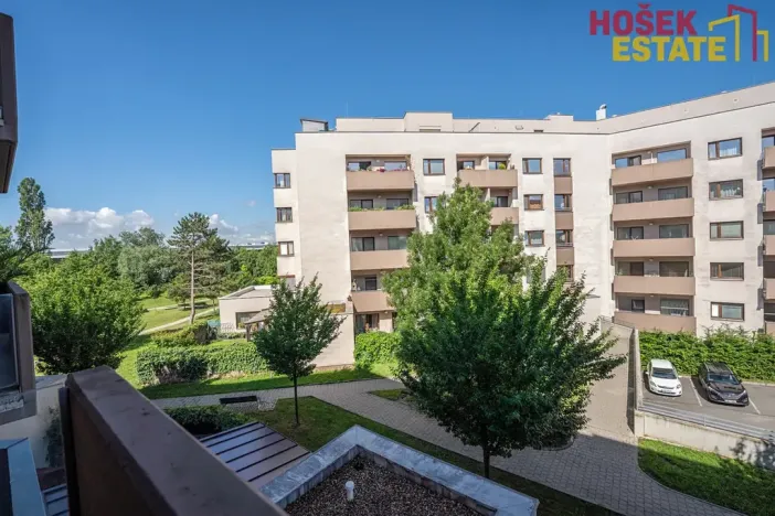 Prodej bytu 2+kk, Brno, Kigginsova, 60 m2