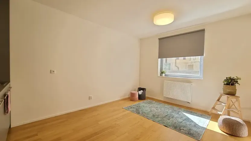 Pronájem bytu 1+kk, Brno, Mlýnská, 24 m2