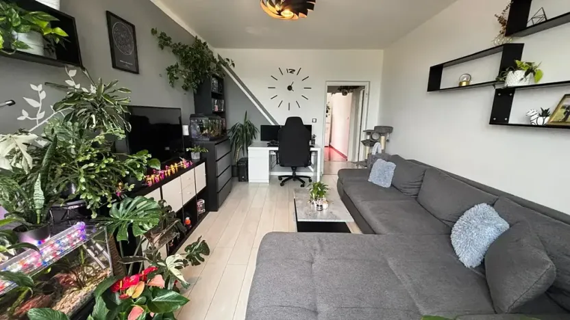 Prodej bytu 4+1, Orlová, Lesní, 78 m2