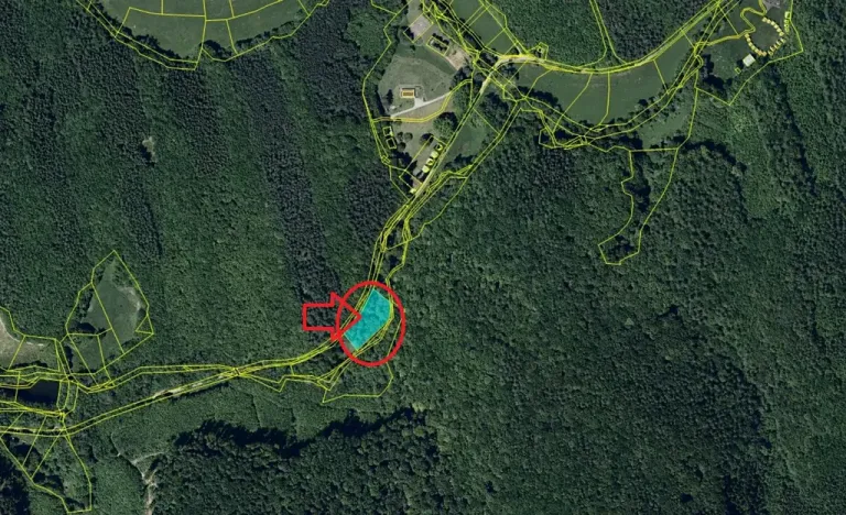Prodej podílu lesa, Buchlovice, 1308 m2
