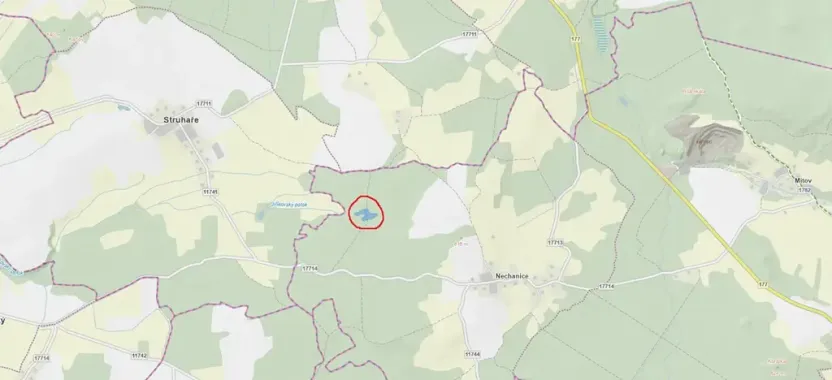 Prodej podílu lesa, Nové Mitrovice, 1057 m2