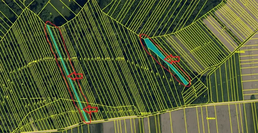 Prodej lesa, Veselí nad Moravou, 2272 m2