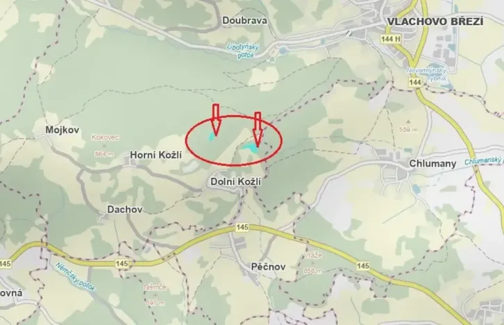 Prodej podílu lesa, Vlachovo Březí, 2714 m2