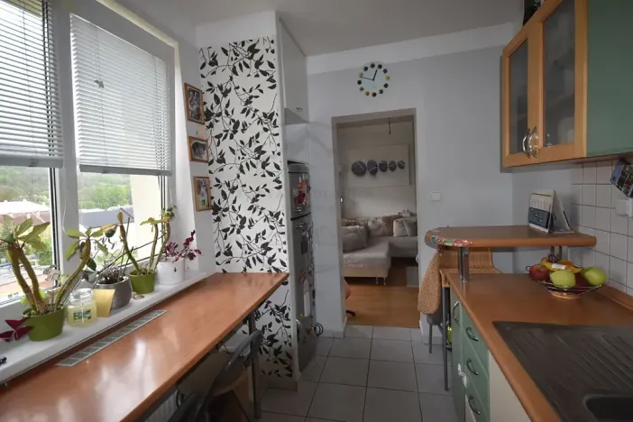 Prodej bytu 3+1, Jeseník, Halasova, 60 m2