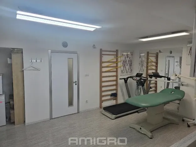 Pronájem komerční nemovitosti, Brno, Skopalíkova, 60 m2